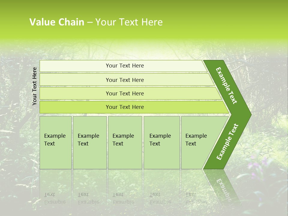 Shadow Tree Sunlight PowerPoint Template