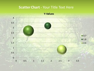 Shadow Tree Sunlight PowerPoint Template