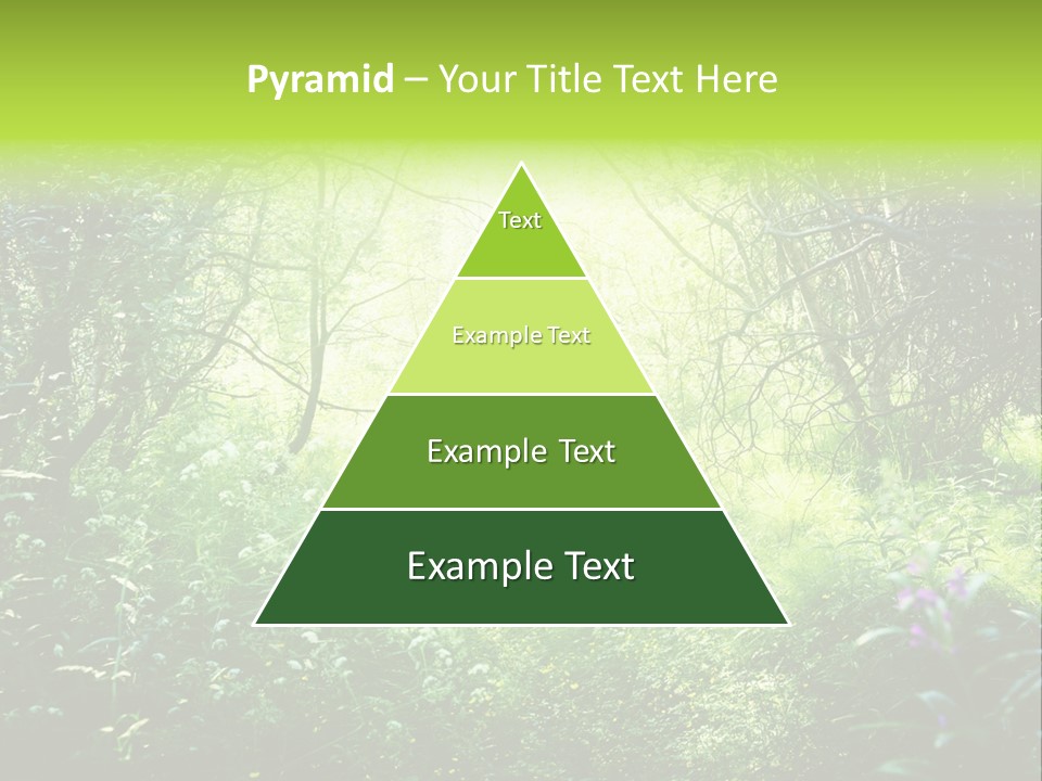Shadow Tree Sunlight PowerPoint Template