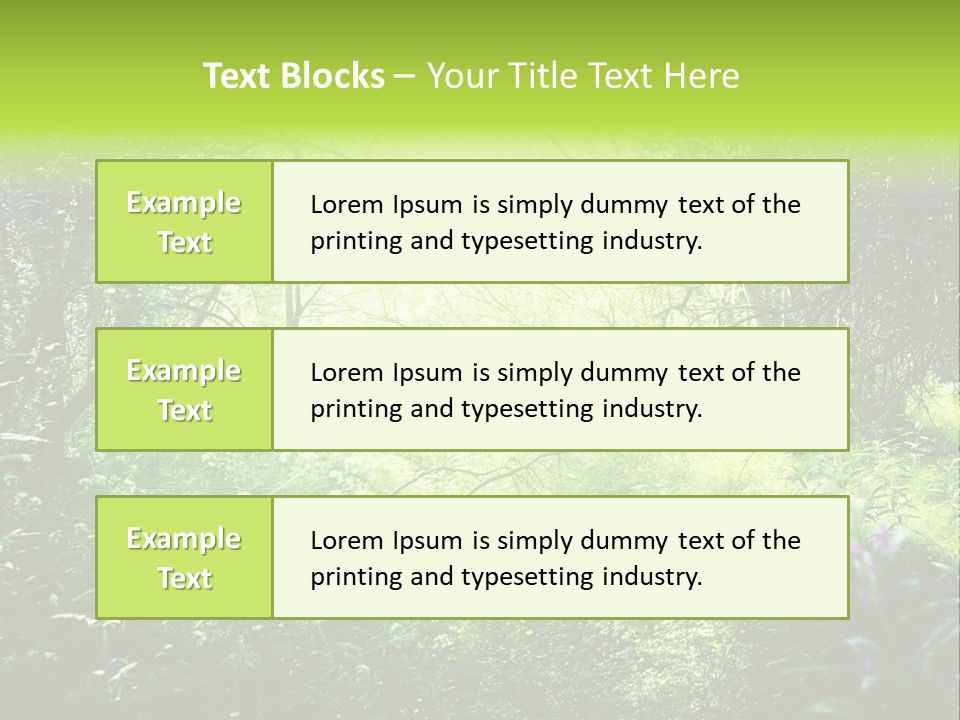 Shadow Tree Sunlight PowerPoint Template