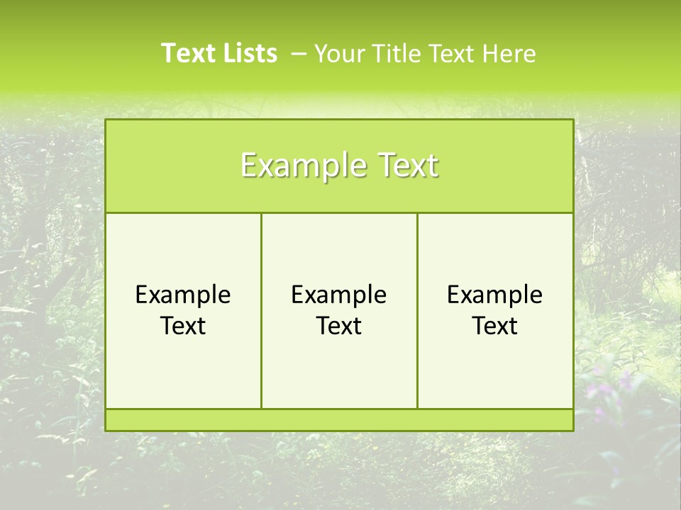 Shadow Tree Sunlight PowerPoint Template