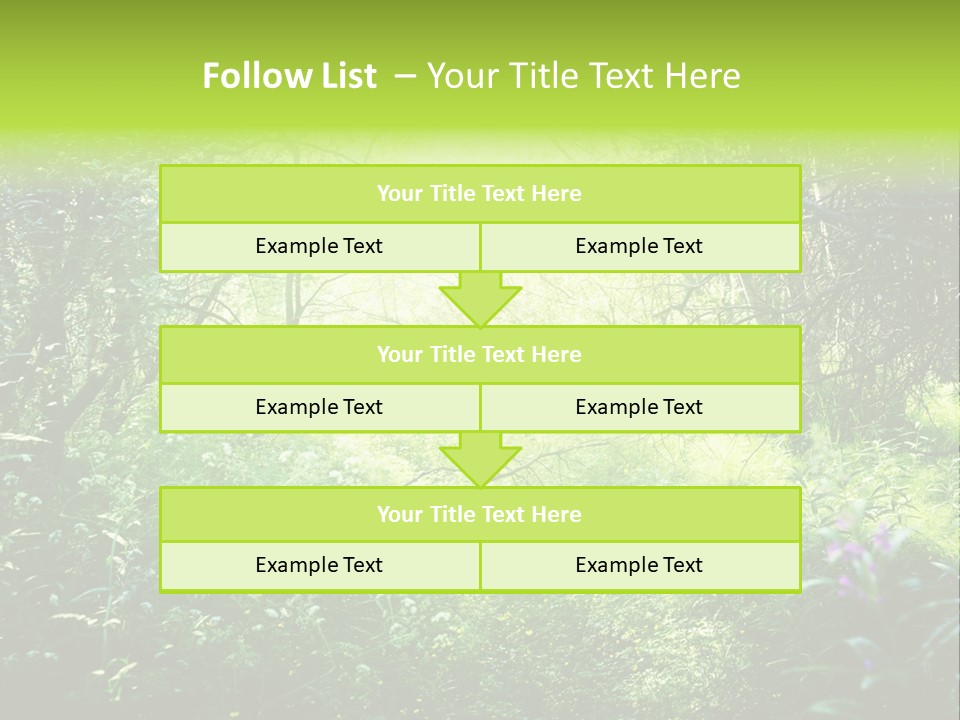 Shadow Tree Sunlight PowerPoint Template