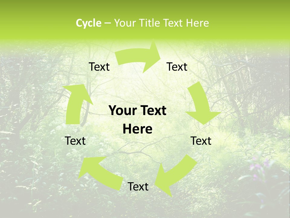 Shadow Tree Sunlight PowerPoint Template