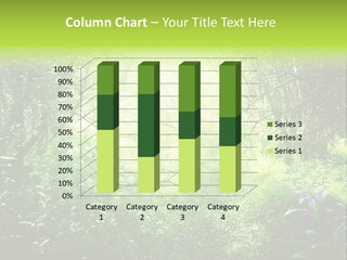 Shadow Tree Sunlight PowerPoint Template