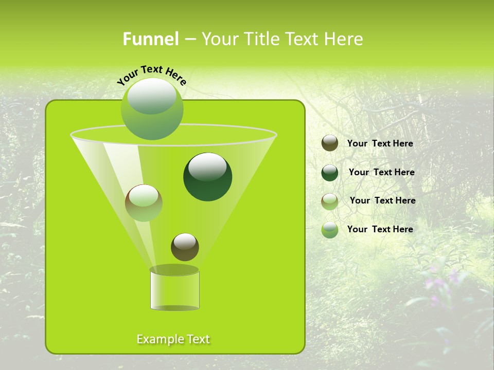 Shadow Tree Sunlight PowerPoint Template