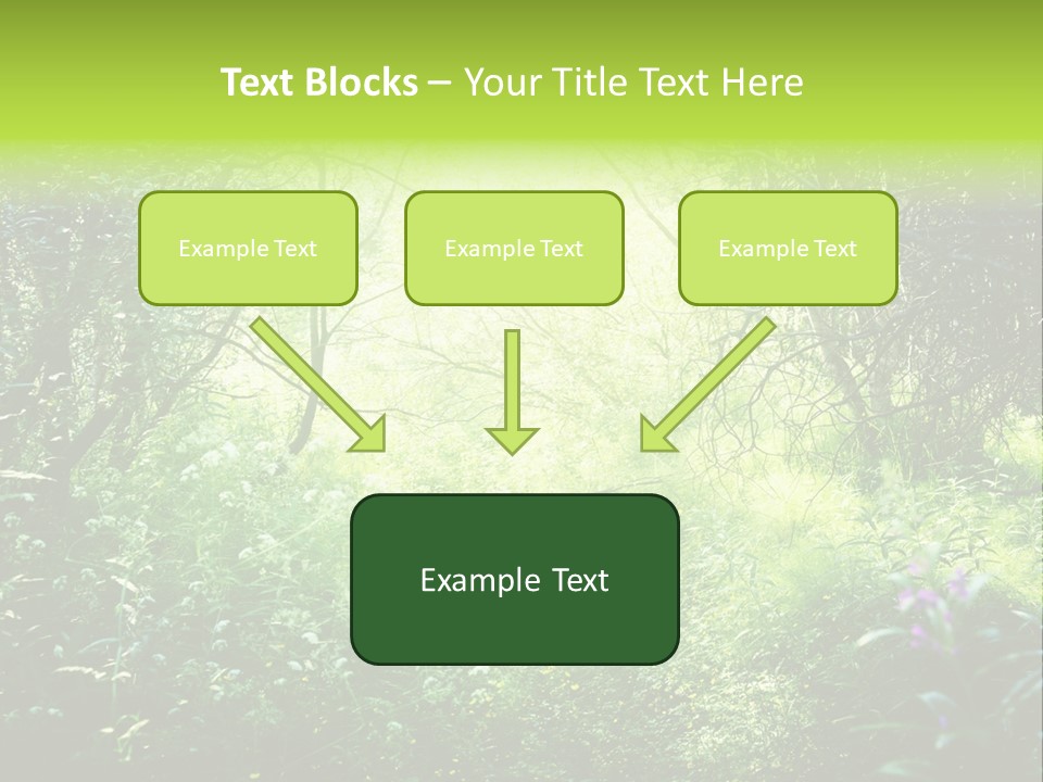 Shadow Tree Sunlight PowerPoint Template