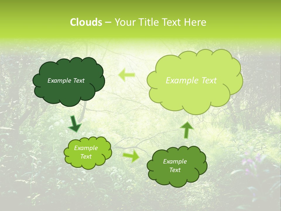 Shadow Tree Sunlight PowerPoint Template
