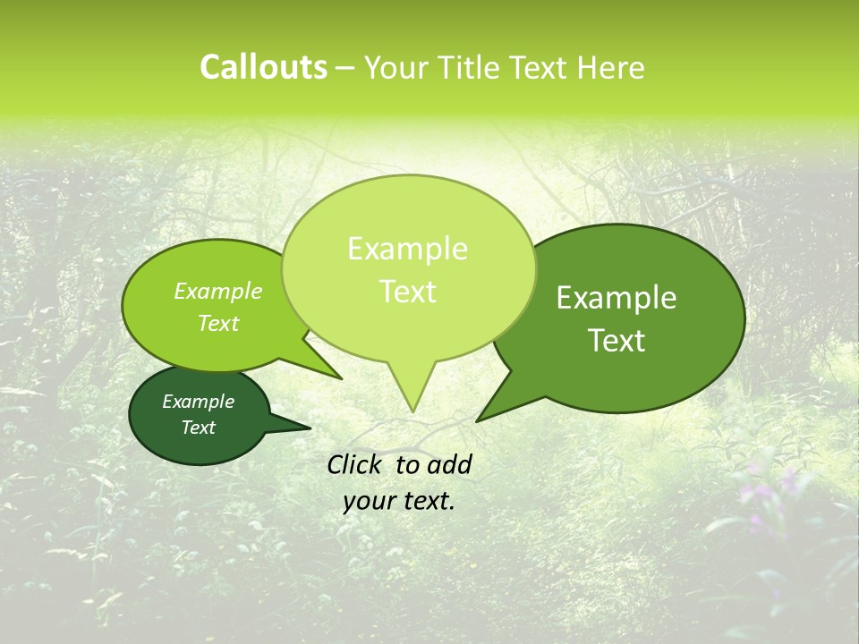Shadow Tree Sunlight PowerPoint Template