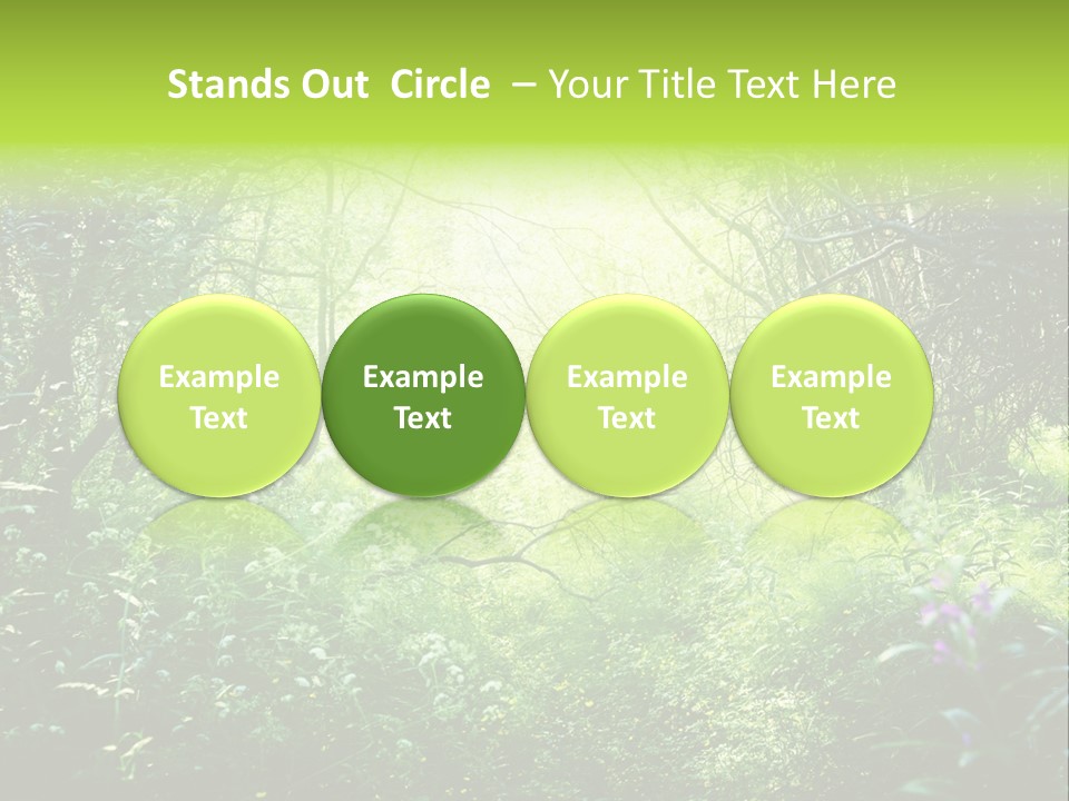 Shadow Tree Sunlight PowerPoint Template