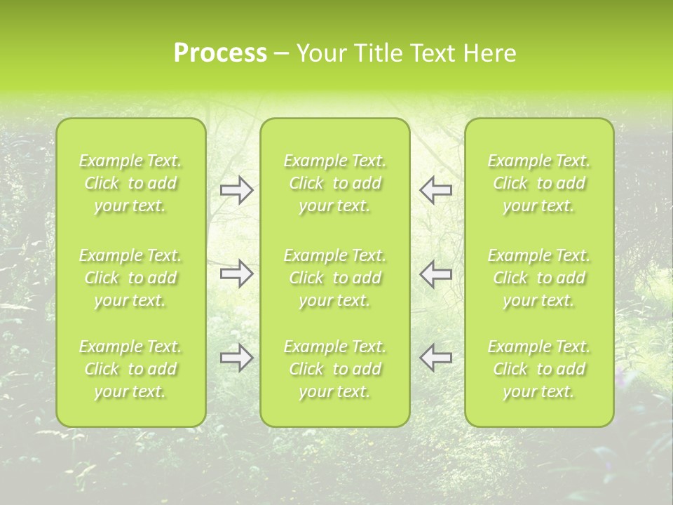 Shadow Tree Sunlight PowerPoint Template