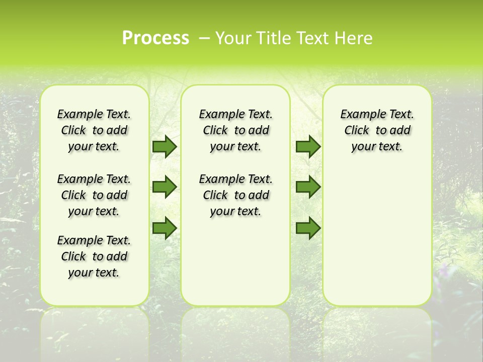 Shadow Tree Sunlight PowerPoint Template