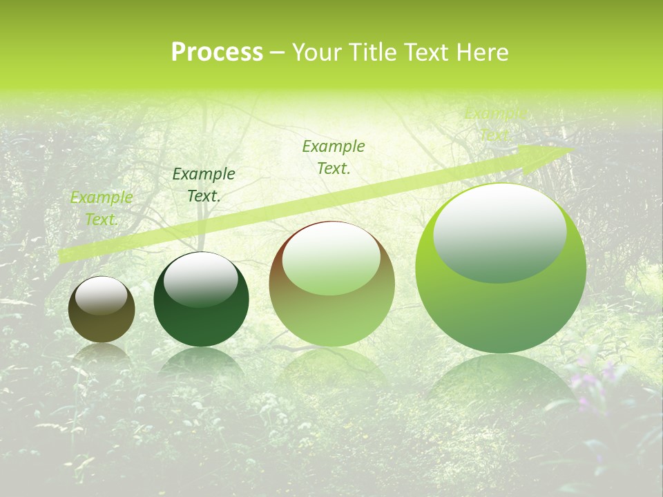 Shadow Tree Sunlight PowerPoint Template