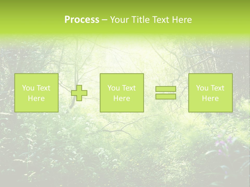 Shadow Tree Sunlight PowerPoint Template