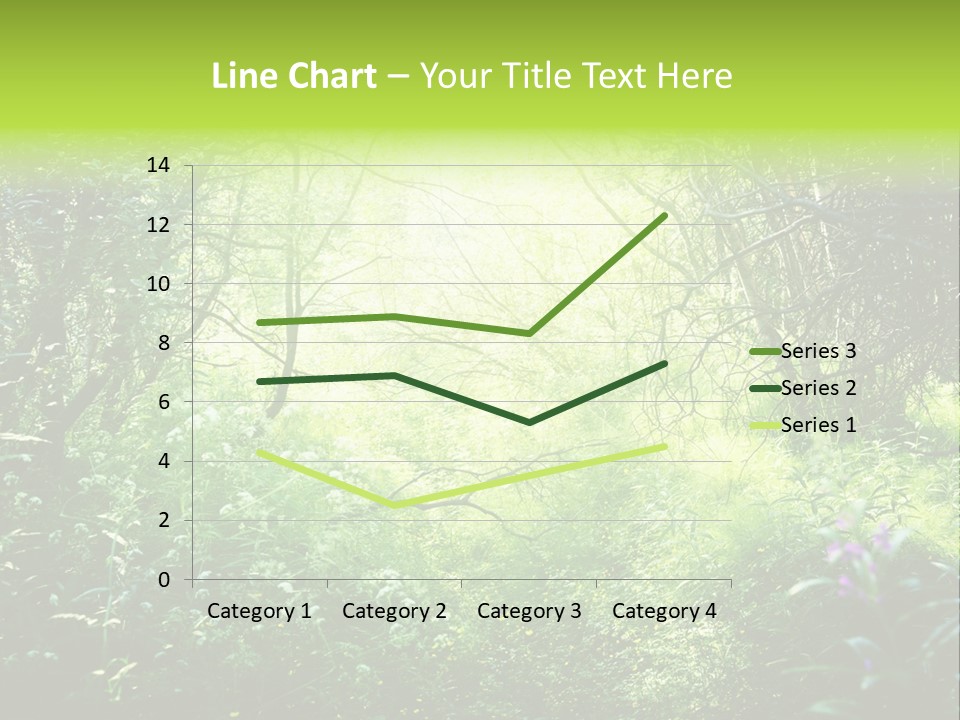 Shadow Tree Sunlight PowerPoint Template