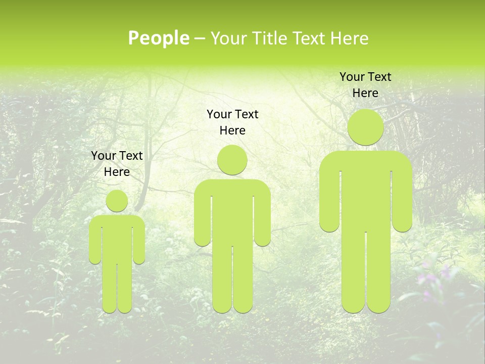 Shadow Tree Sunlight PowerPoint Template