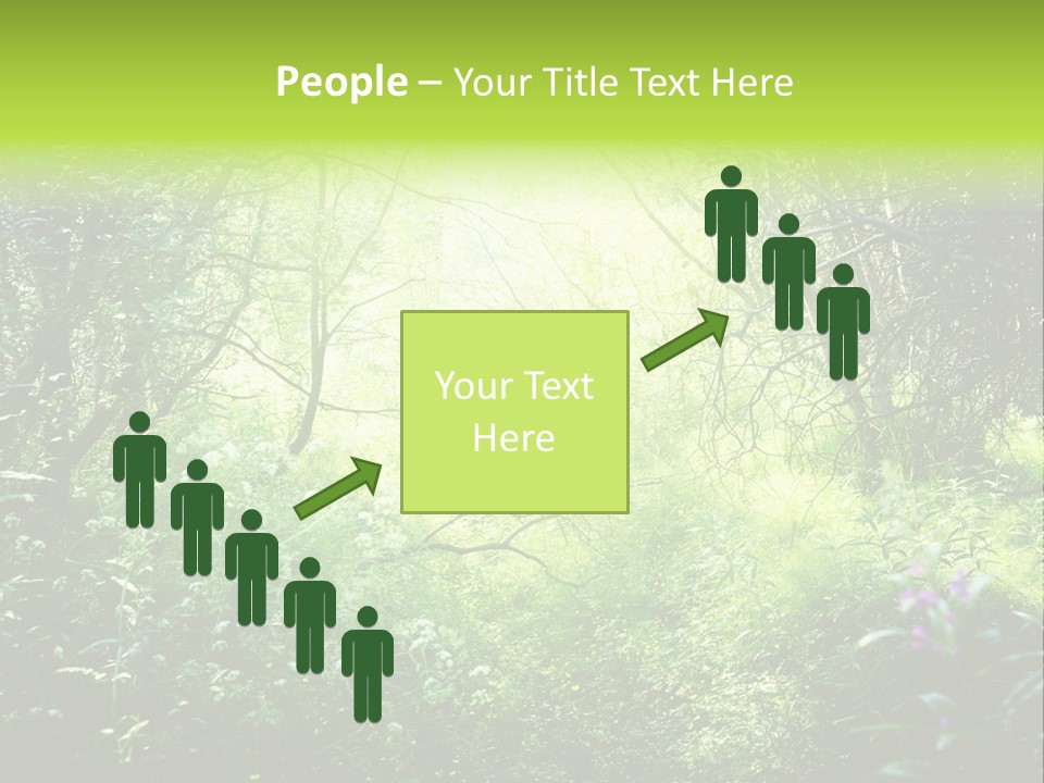 Shadow Tree Sunlight PowerPoint Template