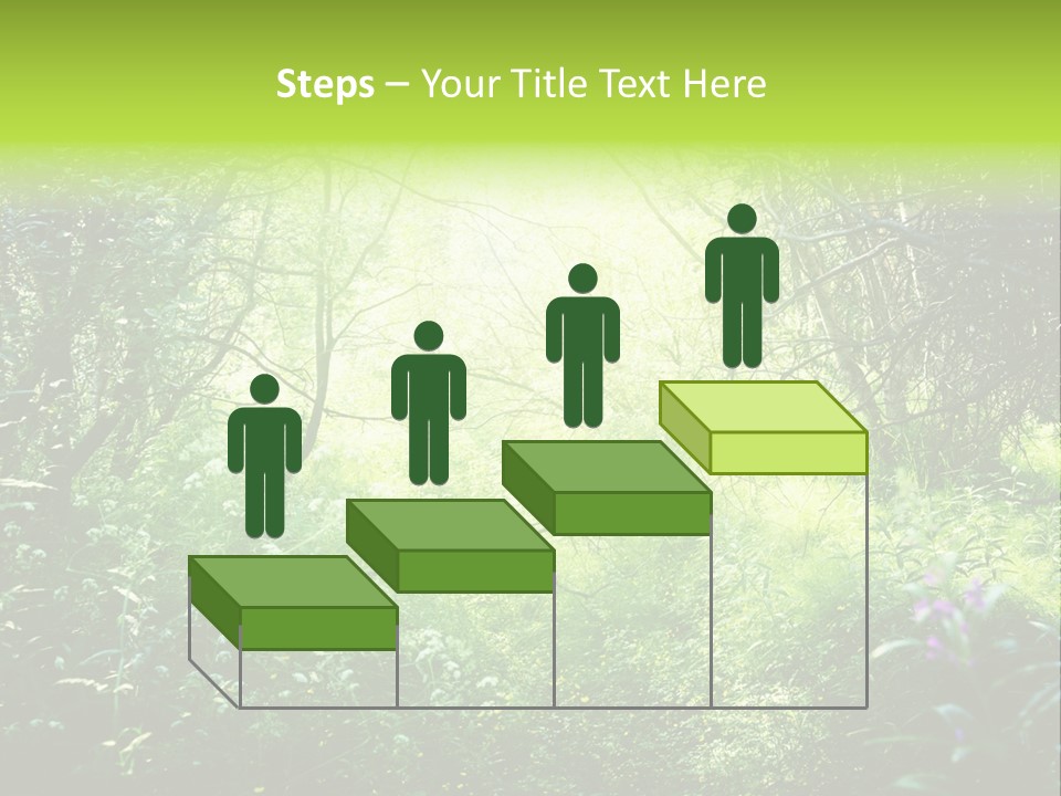 Shadow Tree Sunlight PowerPoint Template