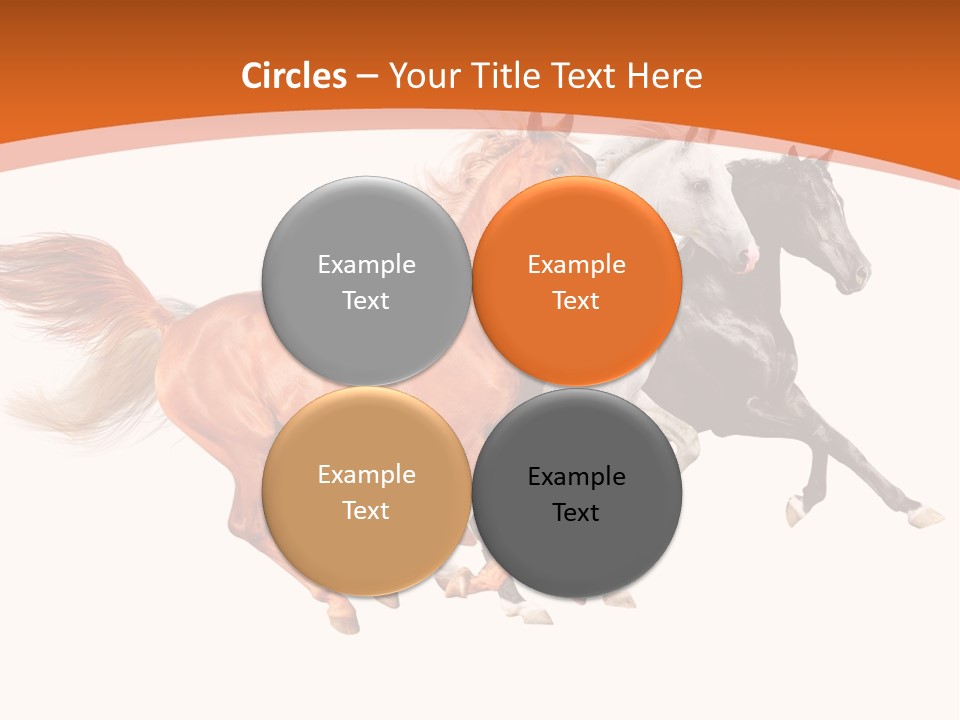 Domestic Sorrel Fast PowerPoint Template