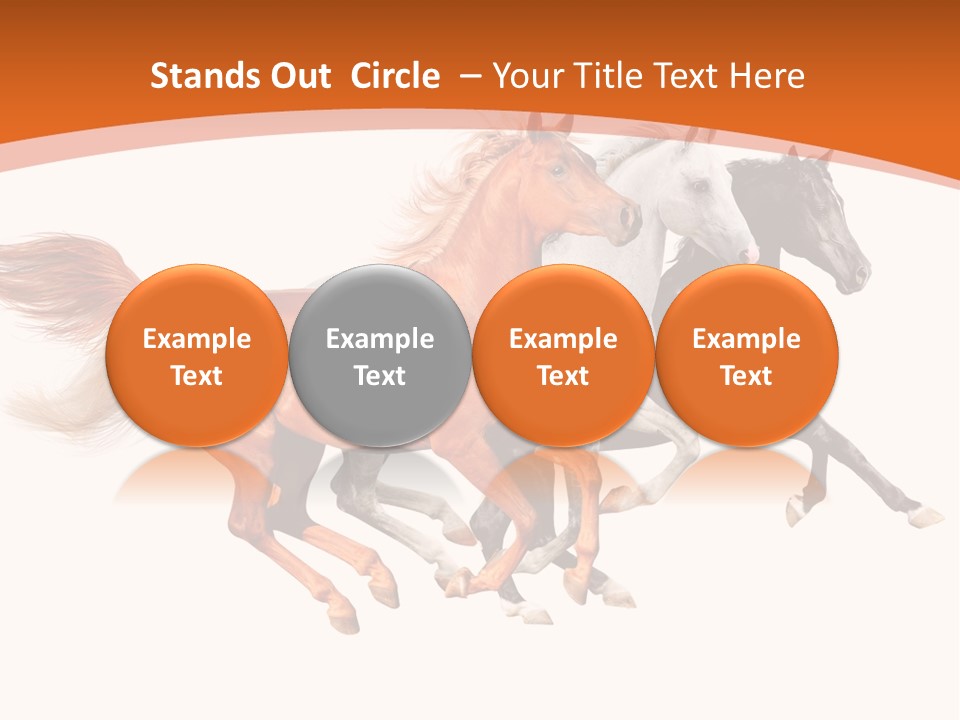 Domestic Sorrel Fast PowerPoint Template