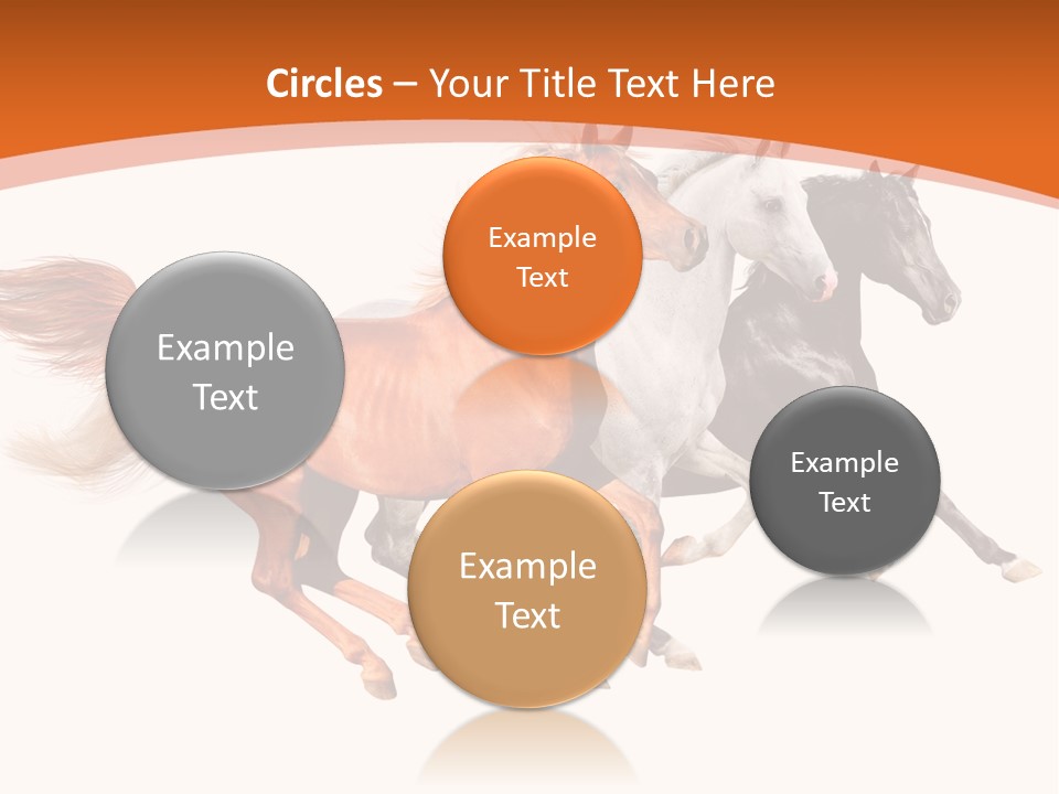 Domestic Sorrel Fast PowerPoint Template