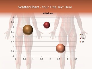 Adult Structure Person PowerPoint Template