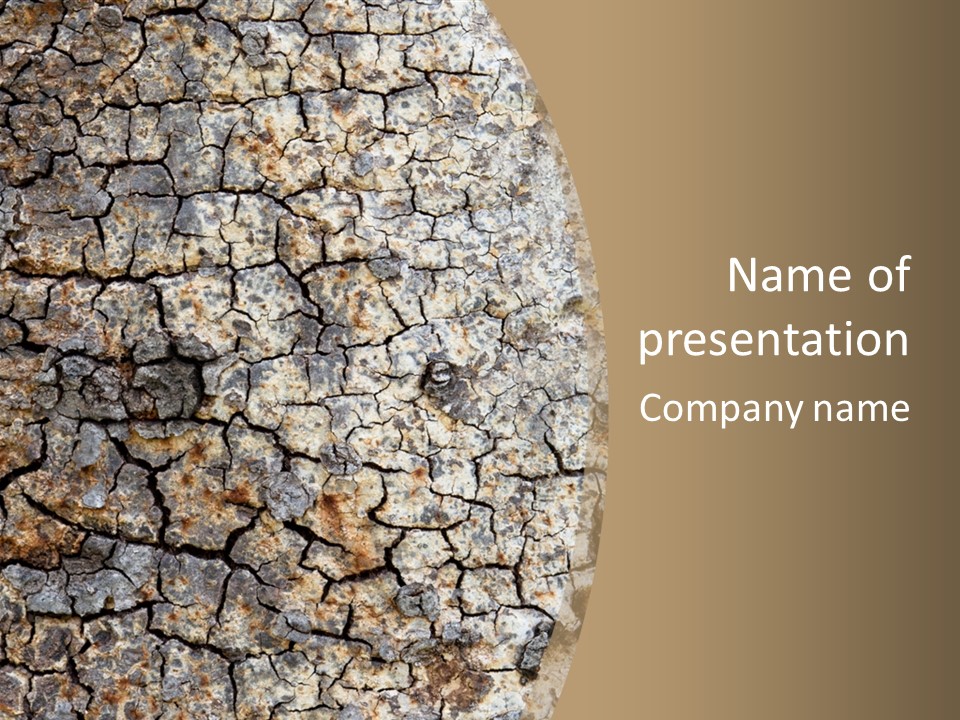 Material Natural Knot PowerPoint Template