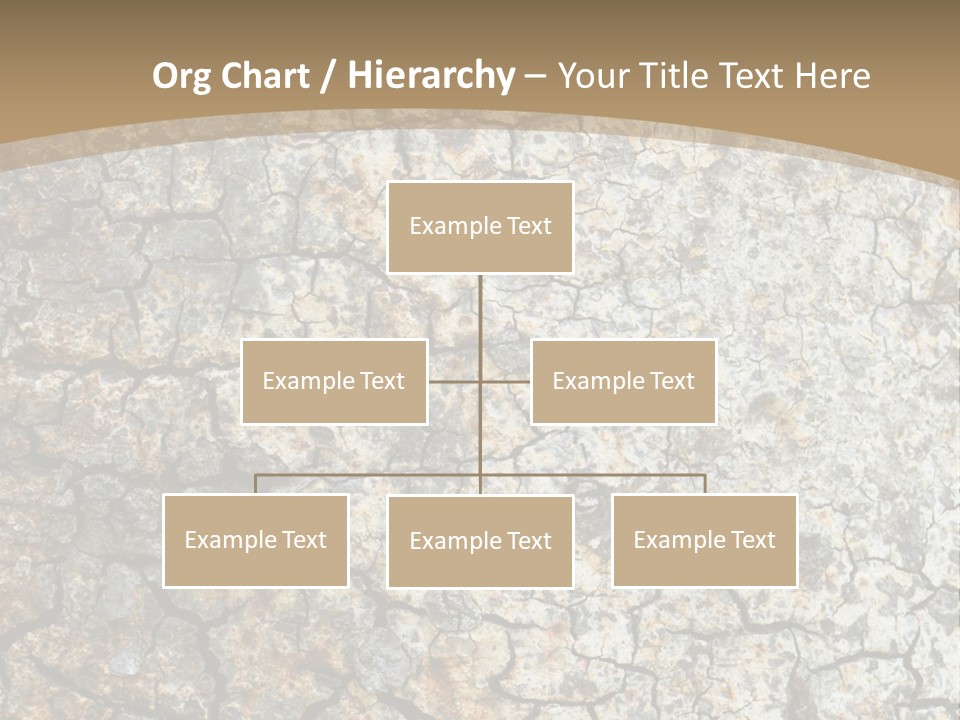 Material Natural Knot PowerPoint Template