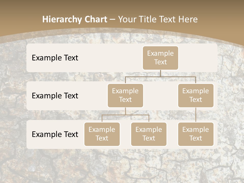 Material Natural Knot PowerPoint Template