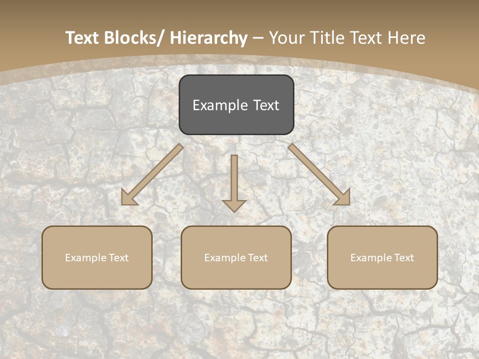 Material Natural Knot PowerPoint Template
