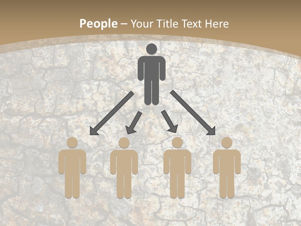 Material Natural Knot PowerPoint Template