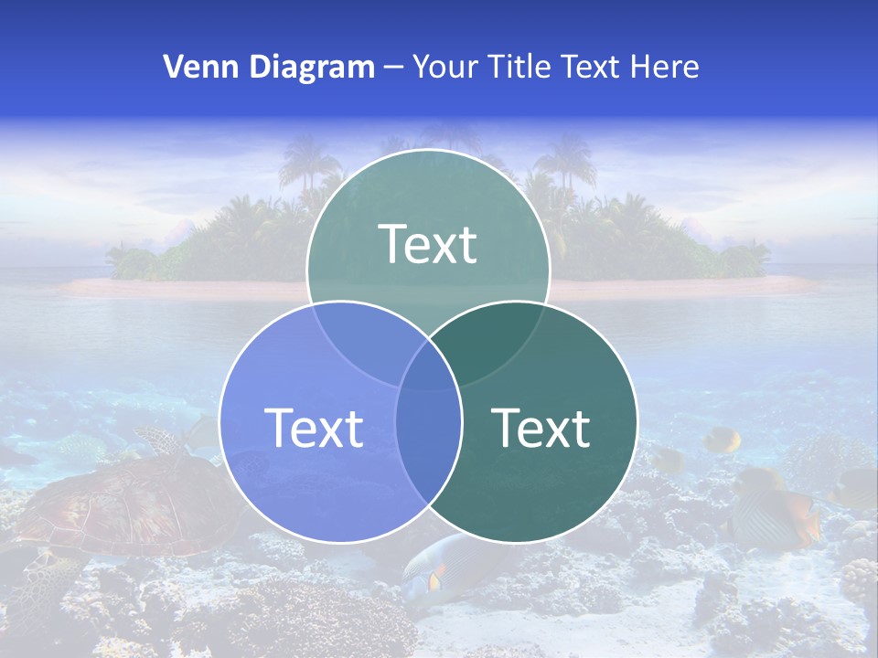 Travel Maldives Coastline PowerPoint Template