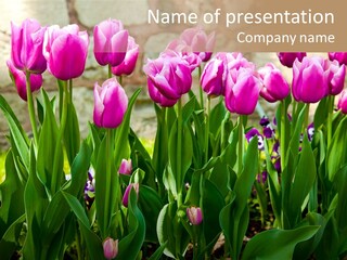 Delicate Spring Foliage PowerPoint Template