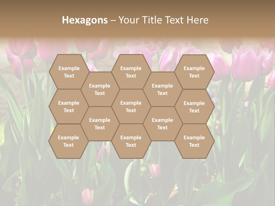Delicate Spring Foliage PowerPoint Template