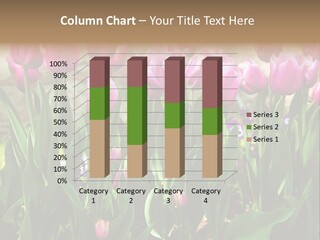 Delicate Spring Foliage PowerPoint Template