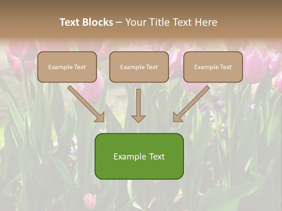 Delicate Spring Foliage PowerPoint Template