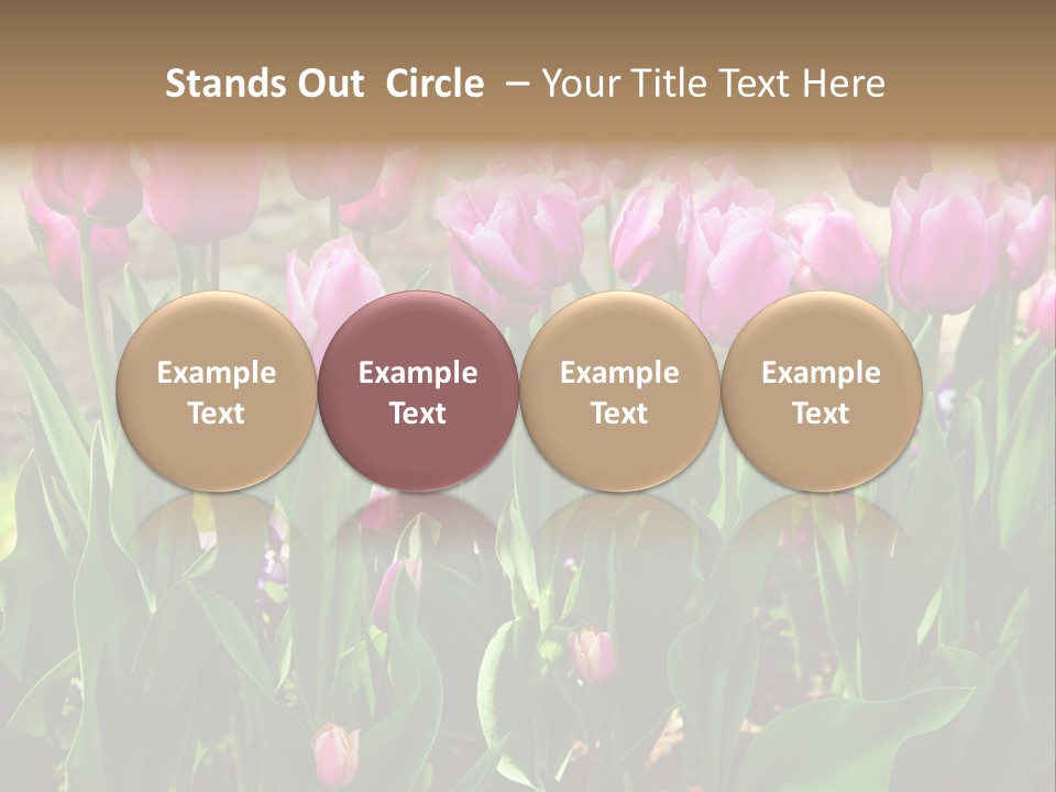 Delicate Spring Foliage PowerPoint Template