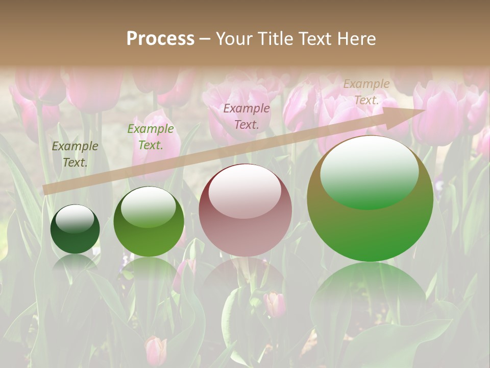 Delicate Spring Foliage PowerPoint Template