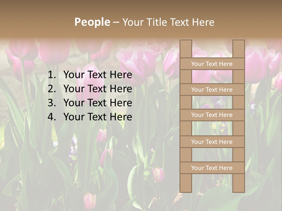 Delicate Spring Foliage PowerPoint Template
