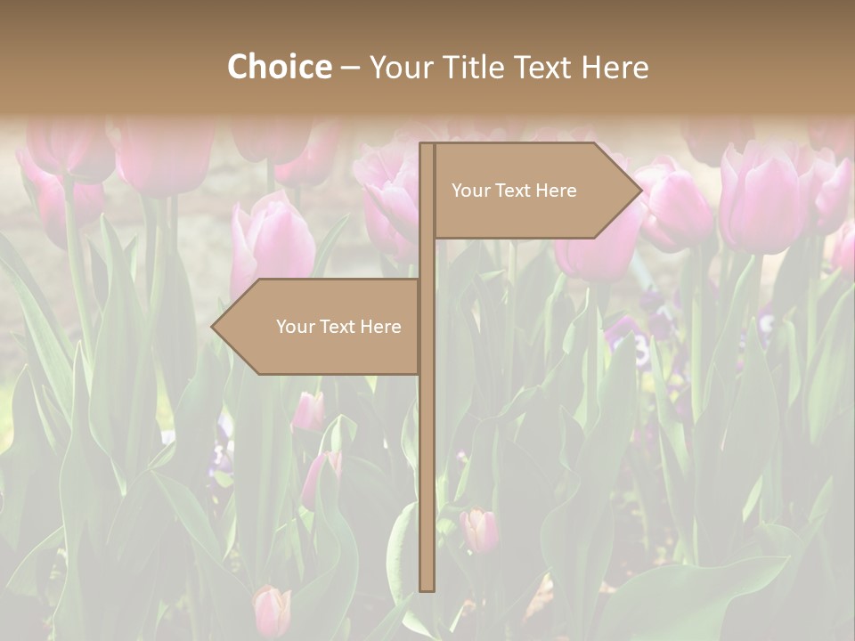 Delicate Spring Foliage PowerPoint Template