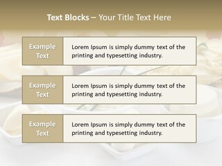 Container Dieting Traditional PowerPoint Template