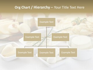 Container Dieting Traditional PowerPoint Template