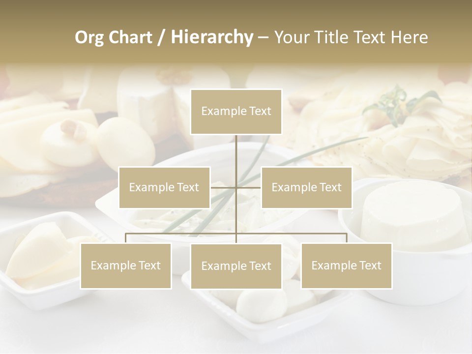 Container Dieting Traditional PowerPoint Template