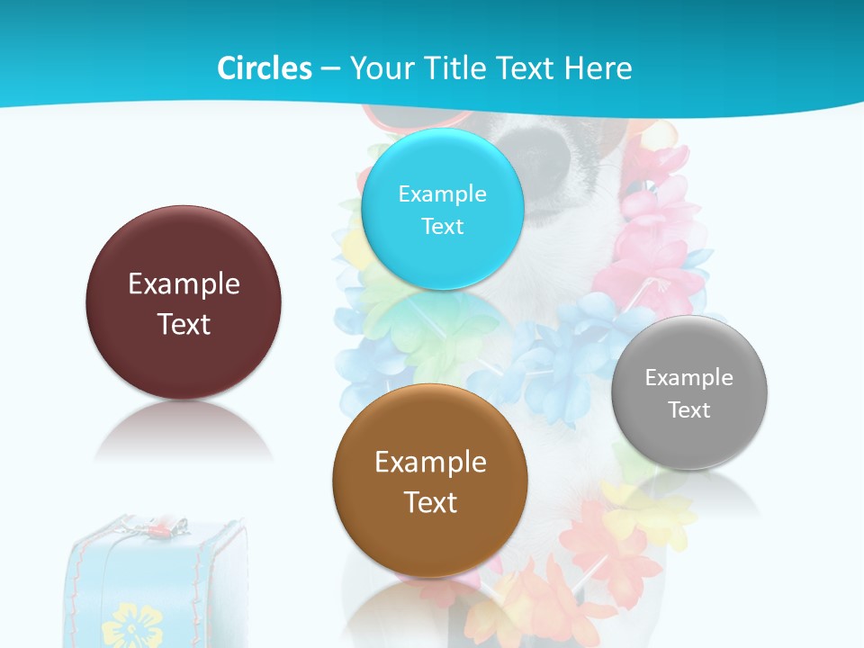 Sunglasses Merry Journey PowerPoint Template