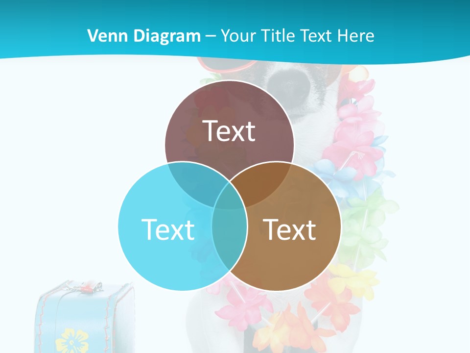 Sunglasses Merry Journey PowerPoint Template