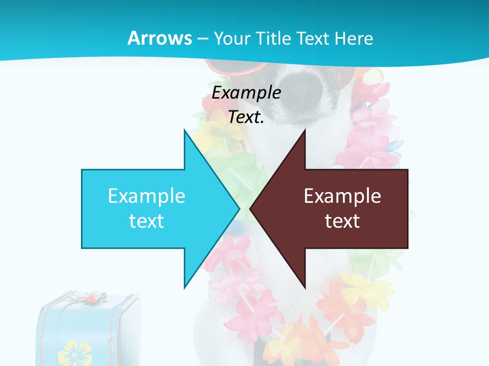 Sunglasses Merry Journey PowerPoint Template