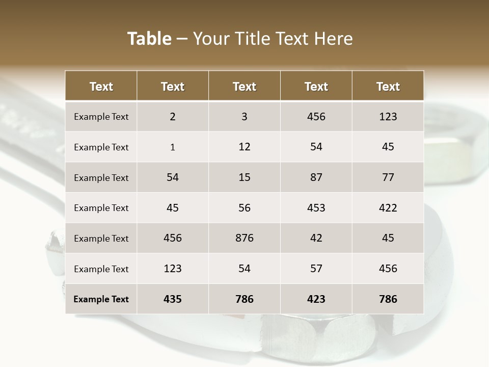 Spanner Maintenance Shiny PowerPoint Template