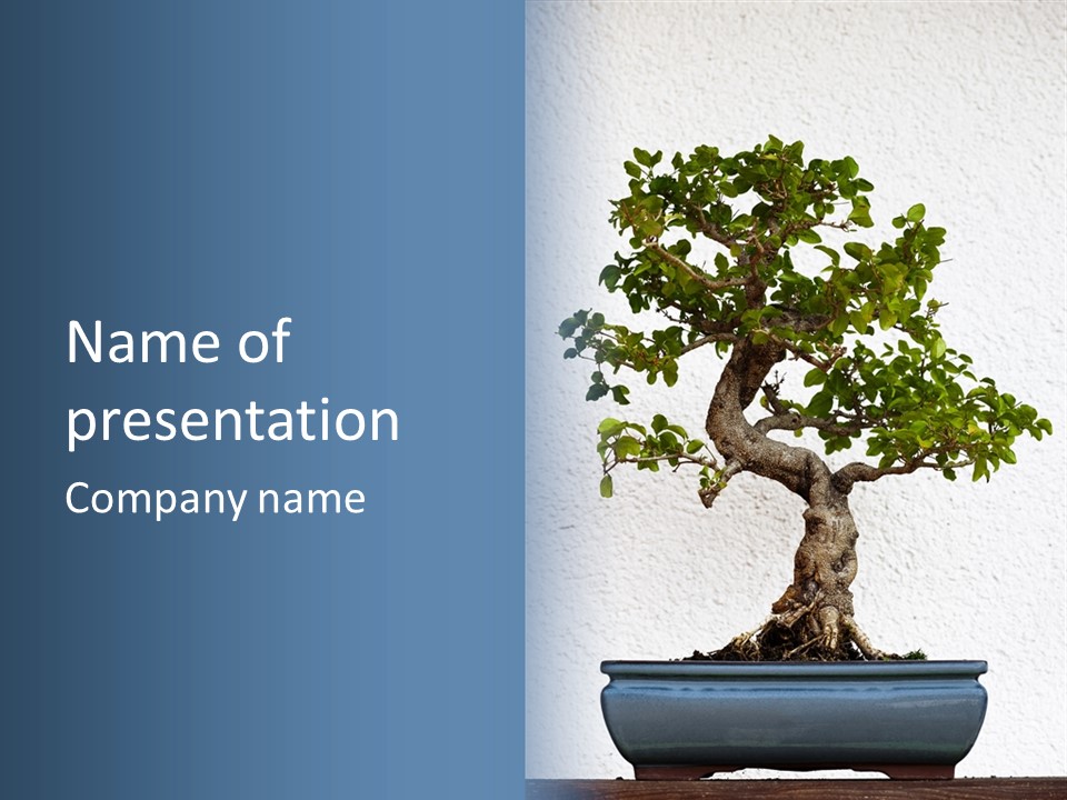 Prosper Old Nature PowerPoint Template