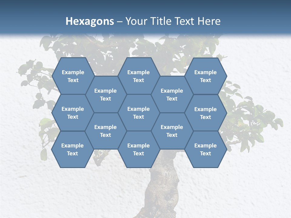 Prosper Old Nature PowerPoint Template