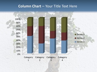 Prosper Old Nature PowerPoint Template