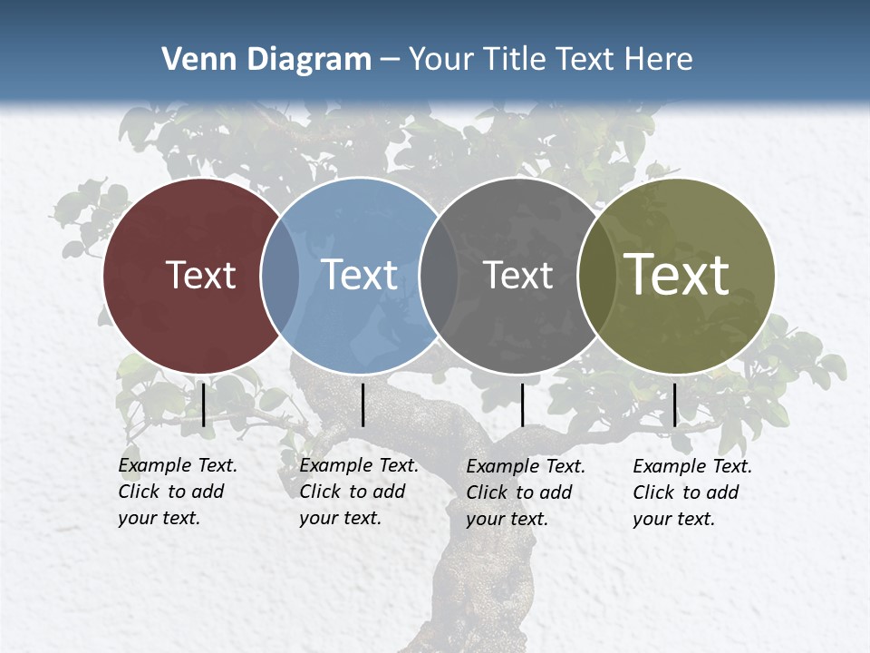Prosper Old Nature PowerPoint Template
